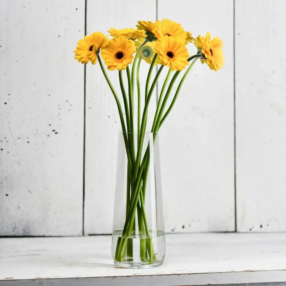 Karafka do wody, wazon Pure, 24 cm, 1,2 l | KROSNO GLASS F73C735024001000