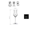 Kieliszek do grappy EDITION poj. 90 ml | RONA 60503500