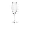 Kieliszek do szampana EDITION poj. 230 ml | RONA 60500900