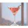 Kieliszek do martini Bistro 175 ml | MODERMO MG008