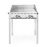 Grill gazowy Green Fire Profi Line 2-palnikowy, 11.6 kW | HENDI 149621