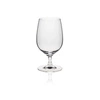 Kieliszek do wody EDITION poj. 310 ml | RONA 60501100
