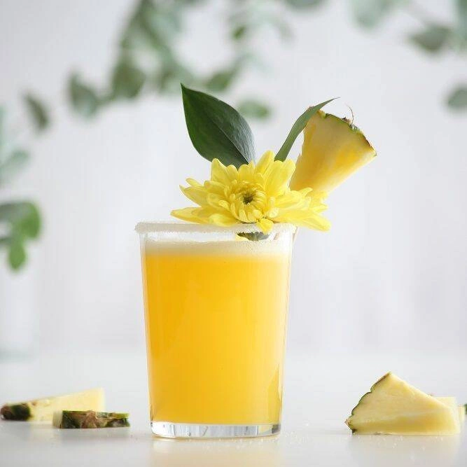 Szklanka niska Isla 280 ml | MODERMO MG203