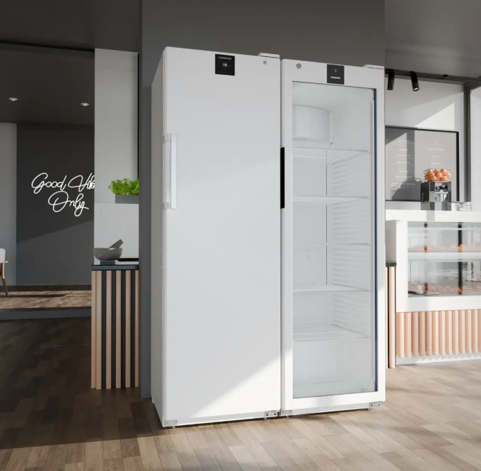 Szafa mroźnicza, stal lakierowana na biało, 337 l | LIEBHERR BFFsg 4001