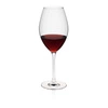 Kieliszek do wina LE VIN poj. 510 ml | RONA 66050100