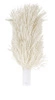 Zestaw szczotek do polerki do szkła, dł. 20.5 cm – 2 szt. | HENDI 230138