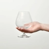 Kieliszki do koniaku Harmony 590 ml - kpl. 6 szt. | KROSNO GLASS F579270055041270