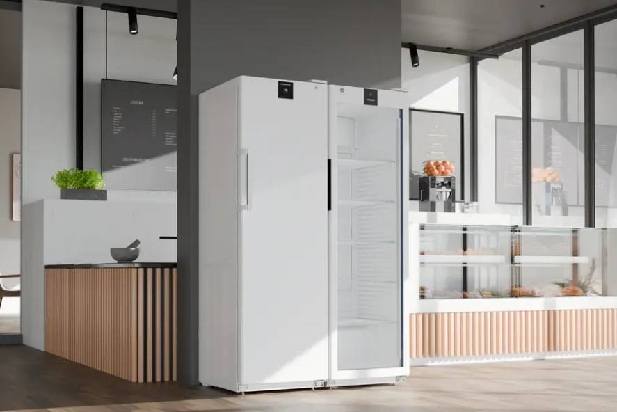 Szafa mroźnicza, stal lakierowana na biało, 337 l | LIEBHERR BFFsg 4001