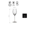 Kieliszek do likieru EDITION poj. 70 ml | RONA 60010500