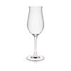 Kieliszek do wina EDITION poj. 255 ml | RONA 60502200