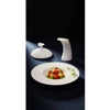 Talerz porcelanowy głęboki Gourmet FEDRA śr. 25 cm | RAK PORCELAIN R-BCBVGD25-12
