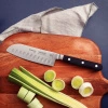 Nóż Santoku CENTURY, 18 cm | TRAMONTINA 24020-107