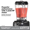 Blender barowy specjalistyczny HBH 650 Tempest | HAMILTON BEACH HBH650R-CE