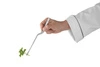 Pęseta gastronomiczna do sushi - 21 cm | HENDI 680087