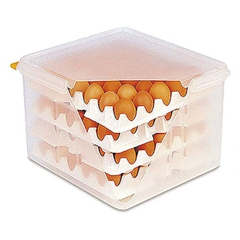 Pojemnik na jajka GN 2/3, 35.5x32.5x20 cm | CONTACTO 8033/023