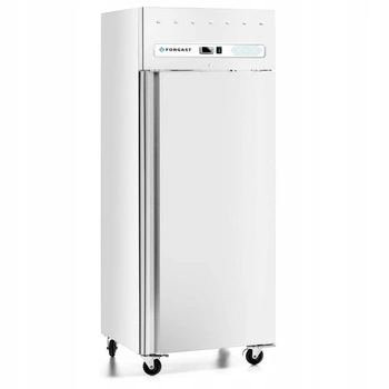 Szafa chłodnicza 1-drzwiowa GN 2/1 685 l, lakierowana, biała | FORGAST FG07265