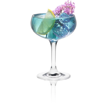 Kieliszek do szampana Classic Cocktails Optic poj. 260ml | RONA 6515P2800