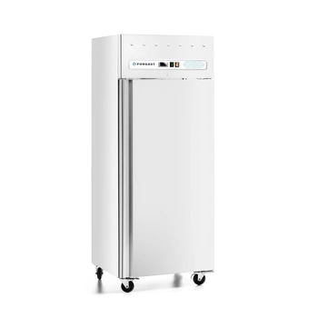 Szafa mroźnicza 1-drzwiowa GN 2/1 685 l, lakierowana, biała | FORGAST FG08266