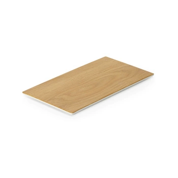 Taca Panama, melamina, GN 1/3 32,5 x 17,6 cm | Fine Dine 562475