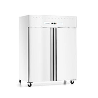 Szafa mroźnicza 2-drzwiowa GN 2/1 1476 l, lakierowana, biała | FORGAST FG08216