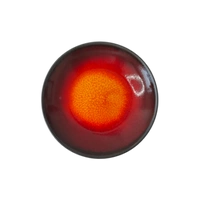 Talerz głęboki Still Cristall rubin 24 cm | KERA CERAMIKA 14.5.RUBIN