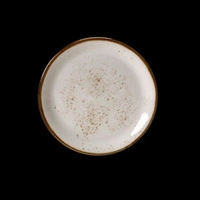 Talerz płytki porcelanowy CRAFT - 25.25 cm | STEELITE 11550566