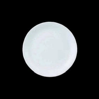 Talerz płytki porcelanowy TASTE - 25,2 cm  | STEELITE 11070566